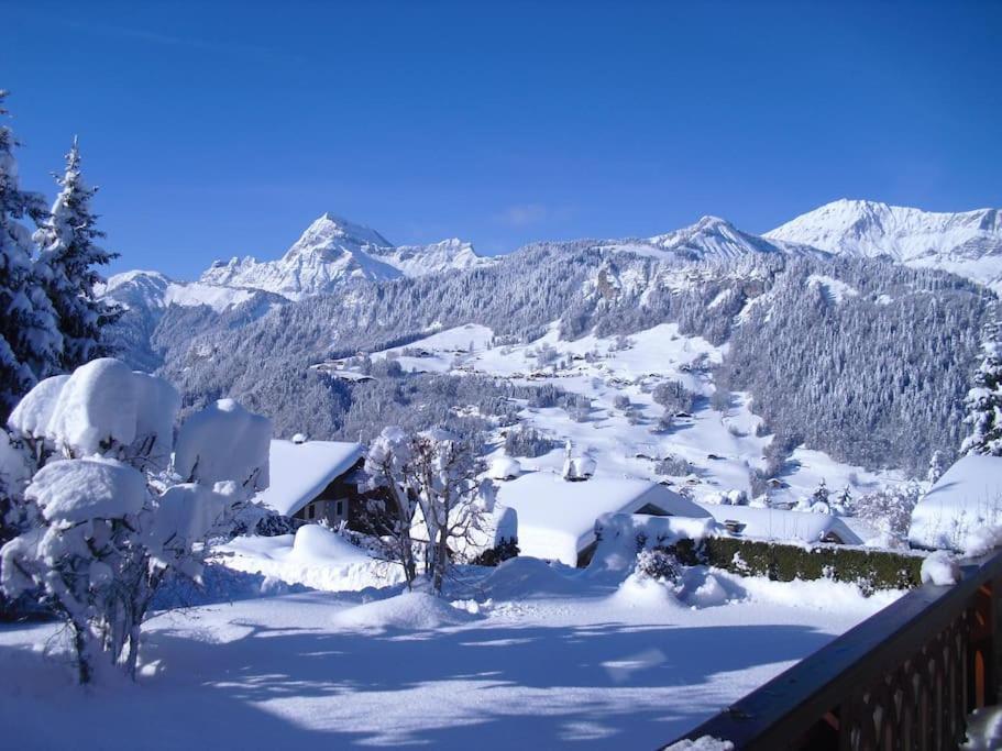 Chalet La Licorne 1 - Pied Des Pistes Нотр-Дам-Дьо-Белкомб Екстериор снимка